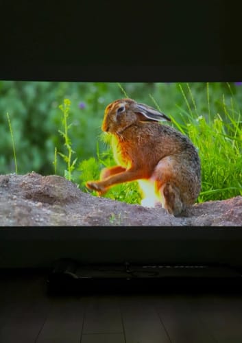 Customer photo review of MovieHub™ Wireless Projector 2026 Edition