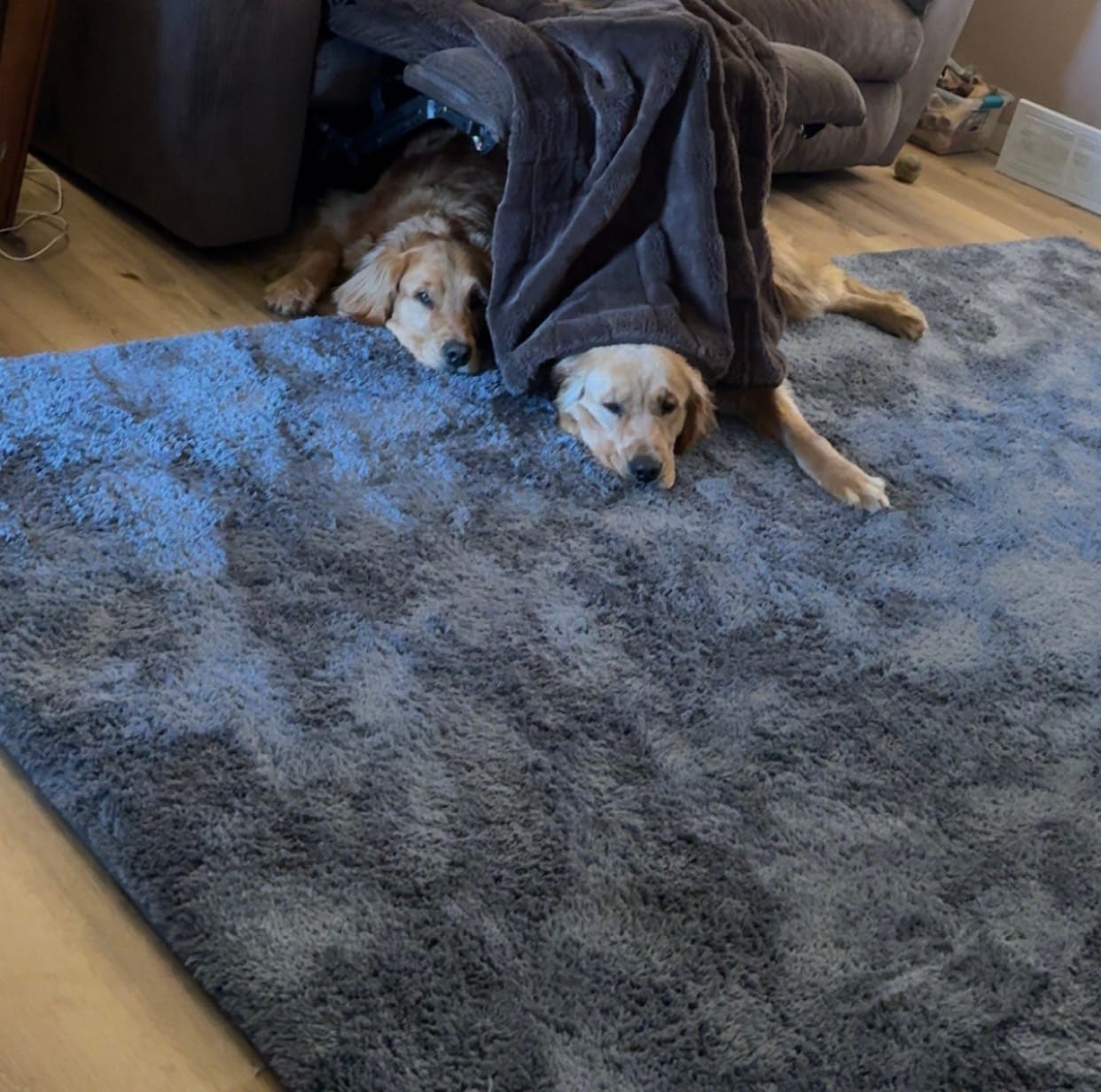 Customer photo review of Deluxe Shaggy Relax Mat - 1.4" Thick Foam Base