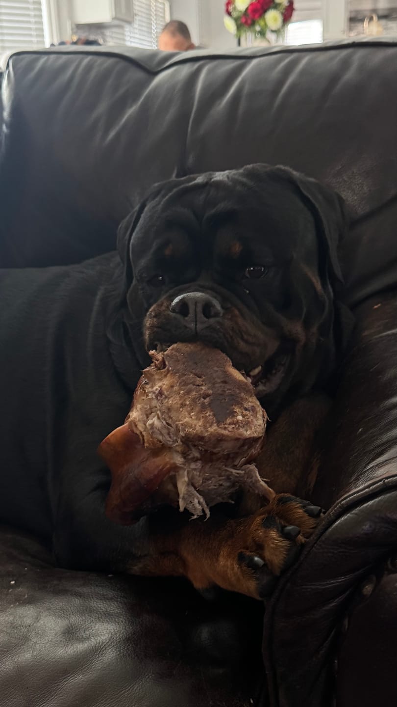 Customer photo review of Smoked Dinosaur Bones