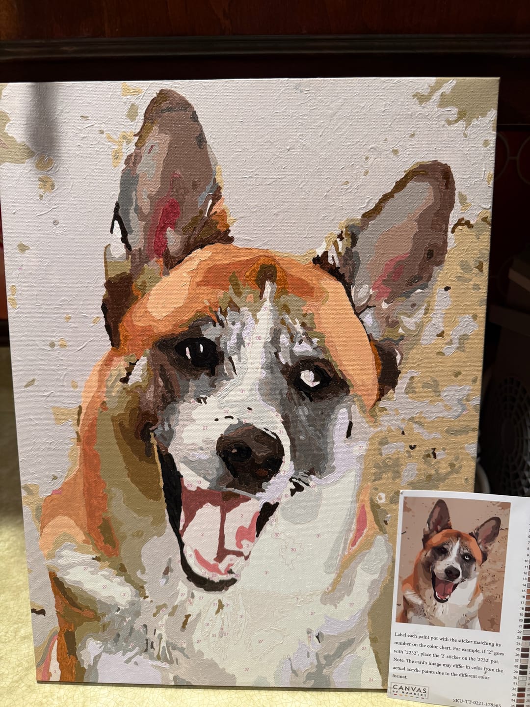 Customer photo review of Custom Paint by Numbers Kit for Personalized Artwork