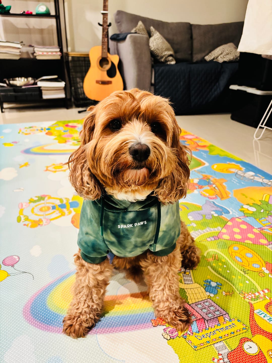 Customer photo review of Velvet Dog Hoodies
