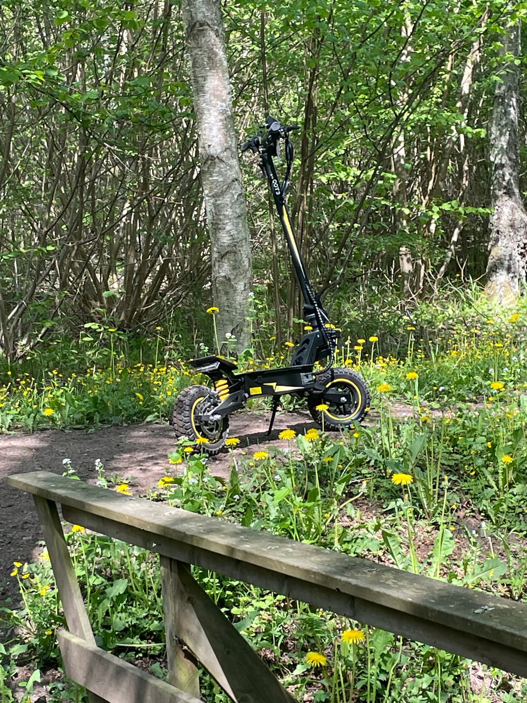 Customer photo review of OOTD T10 E-Scooter