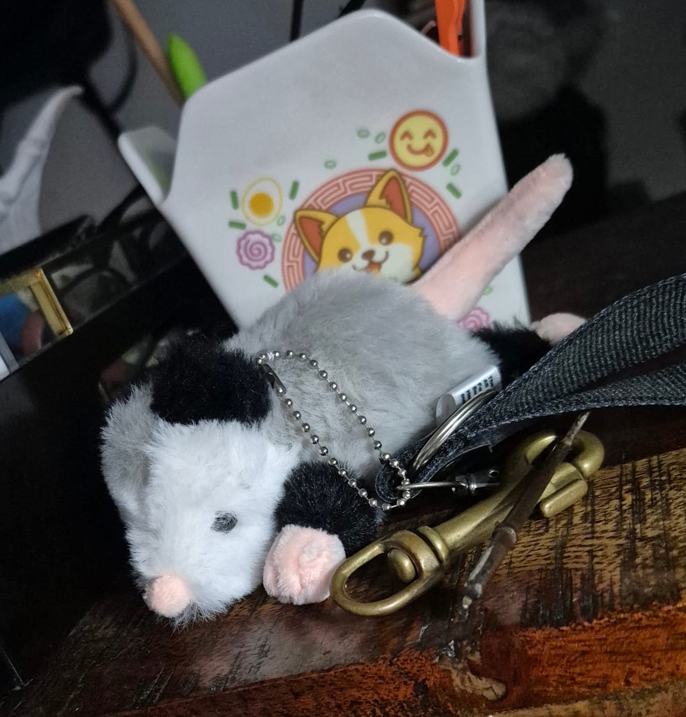 Customer photo review of Forgotten Peter the Opossum