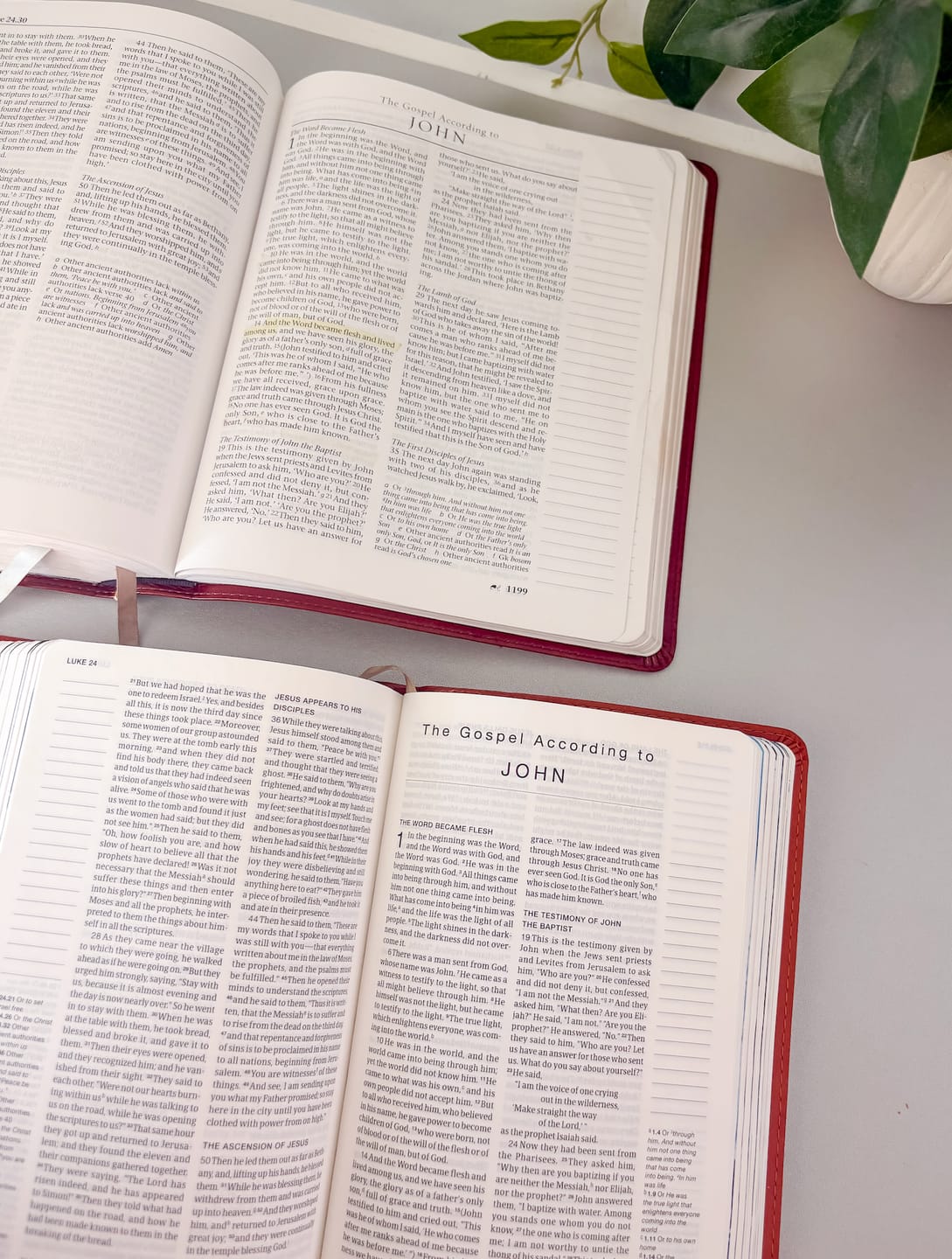 Customer photo review of Blessed is She Compact Journaling Bible