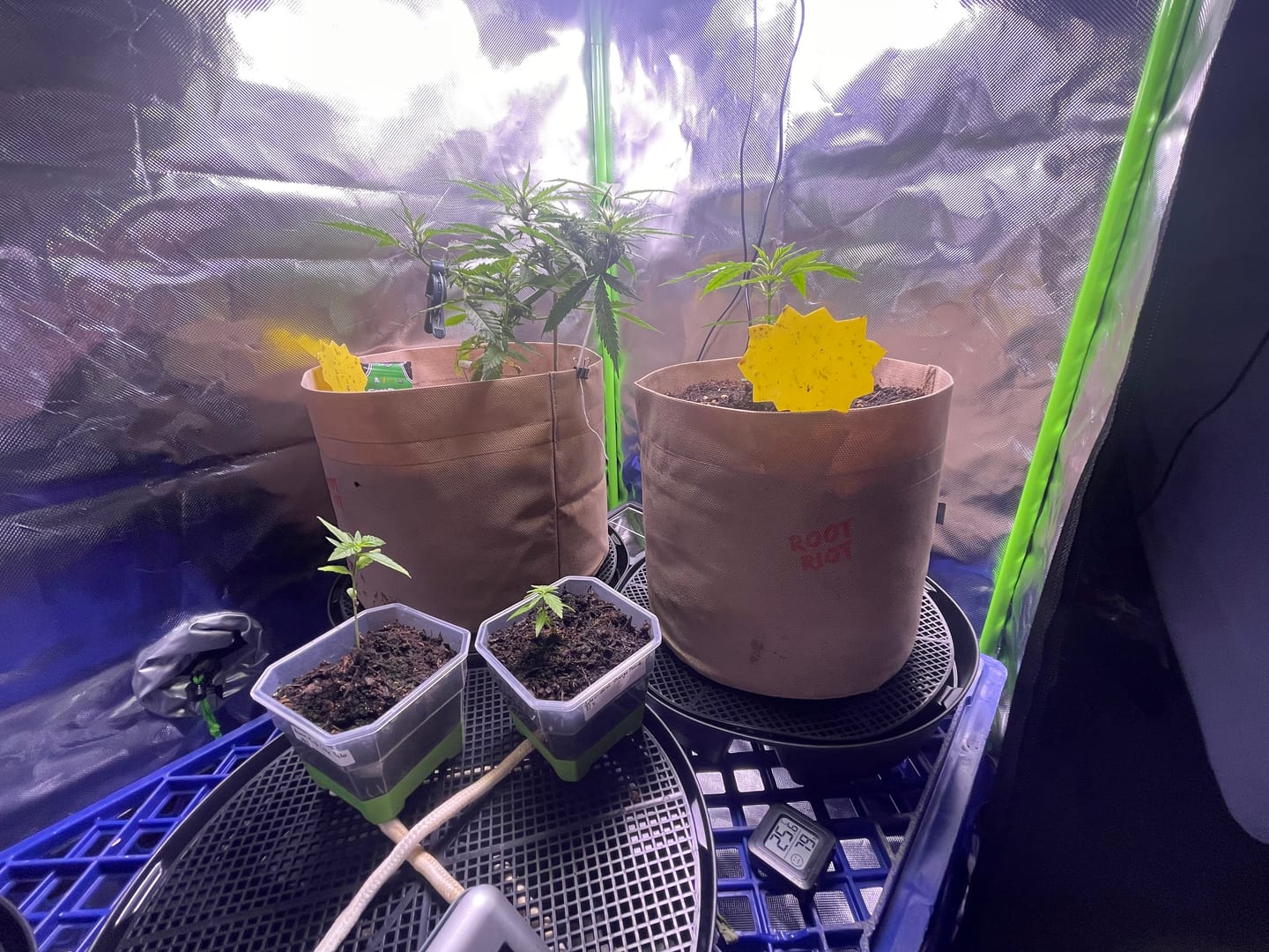 Customer photo review of Root Heaven Stoff Topf