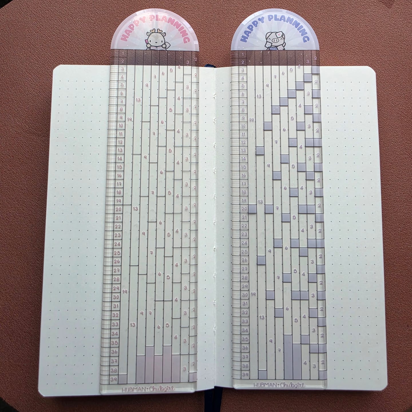 Customer photo review of Stationery Buddies Dot-Grid Rulers (Set of 2)