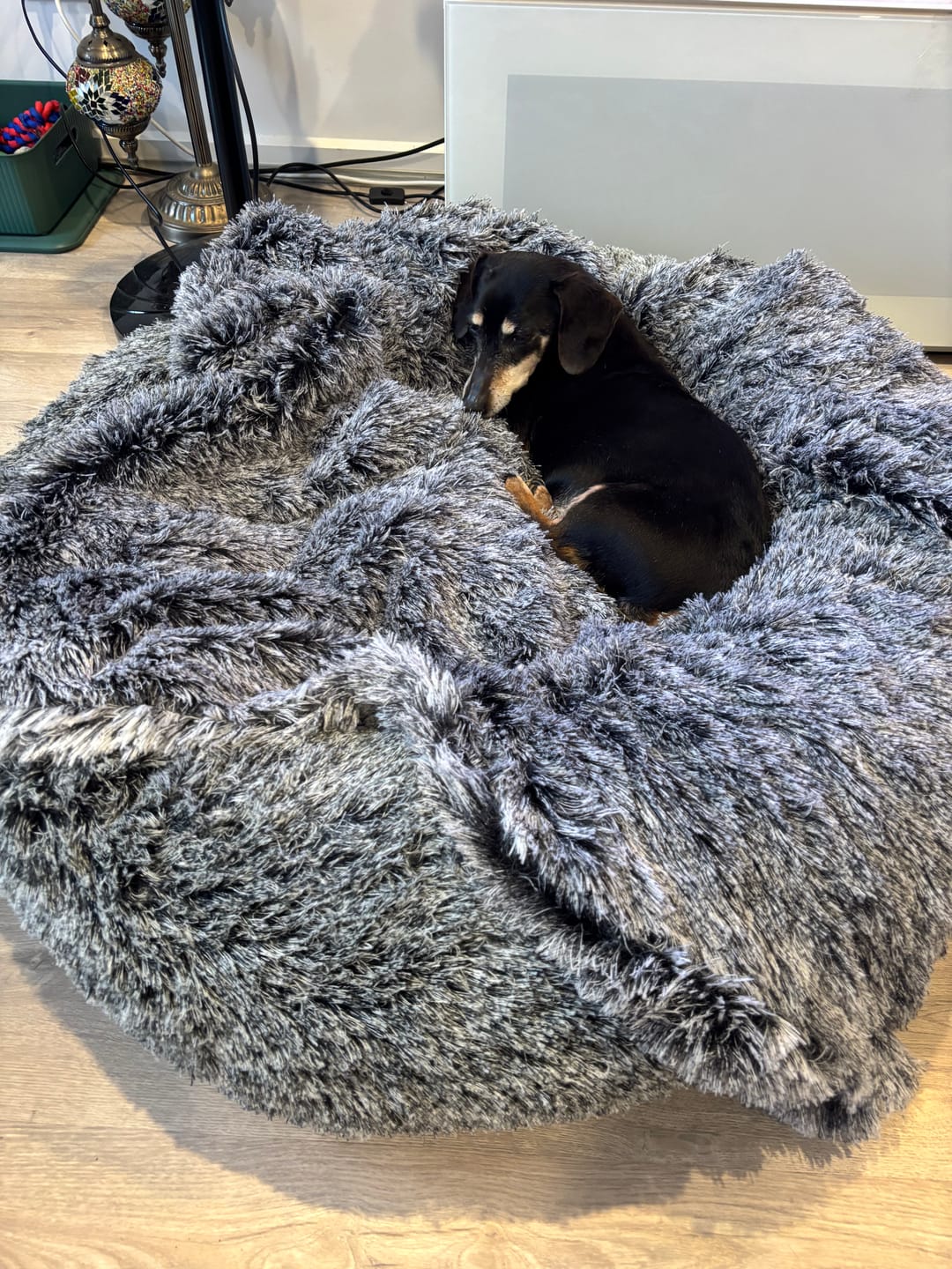 Customer photo review of Premium Calming Pet Bed with Removable Cover
