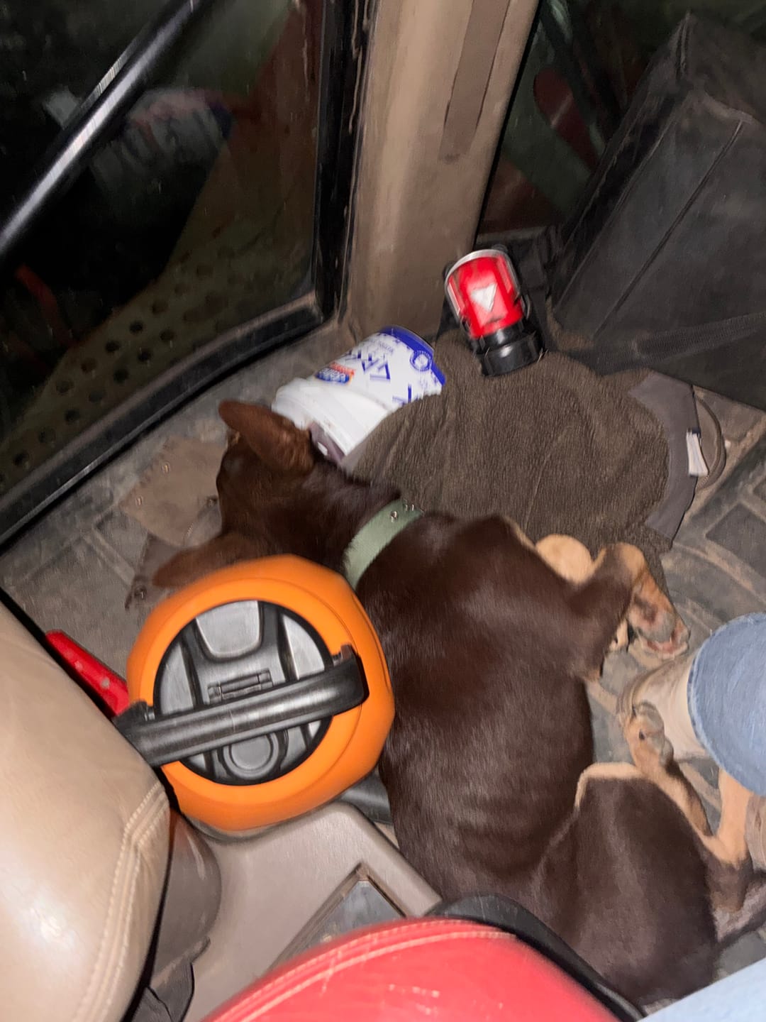 Customer photo review of 3L Yowy Watercan