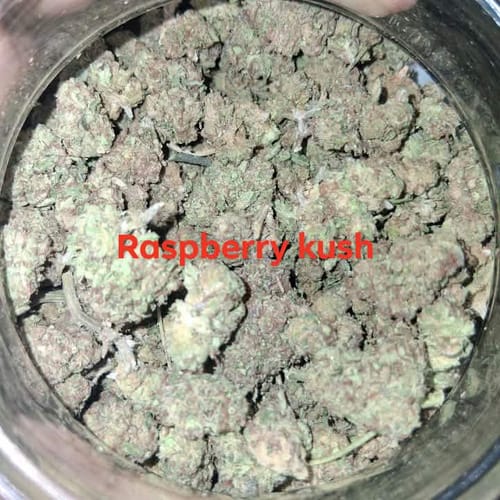 Raspberry Kush Minis  - Bulk Minis - Indica photo review