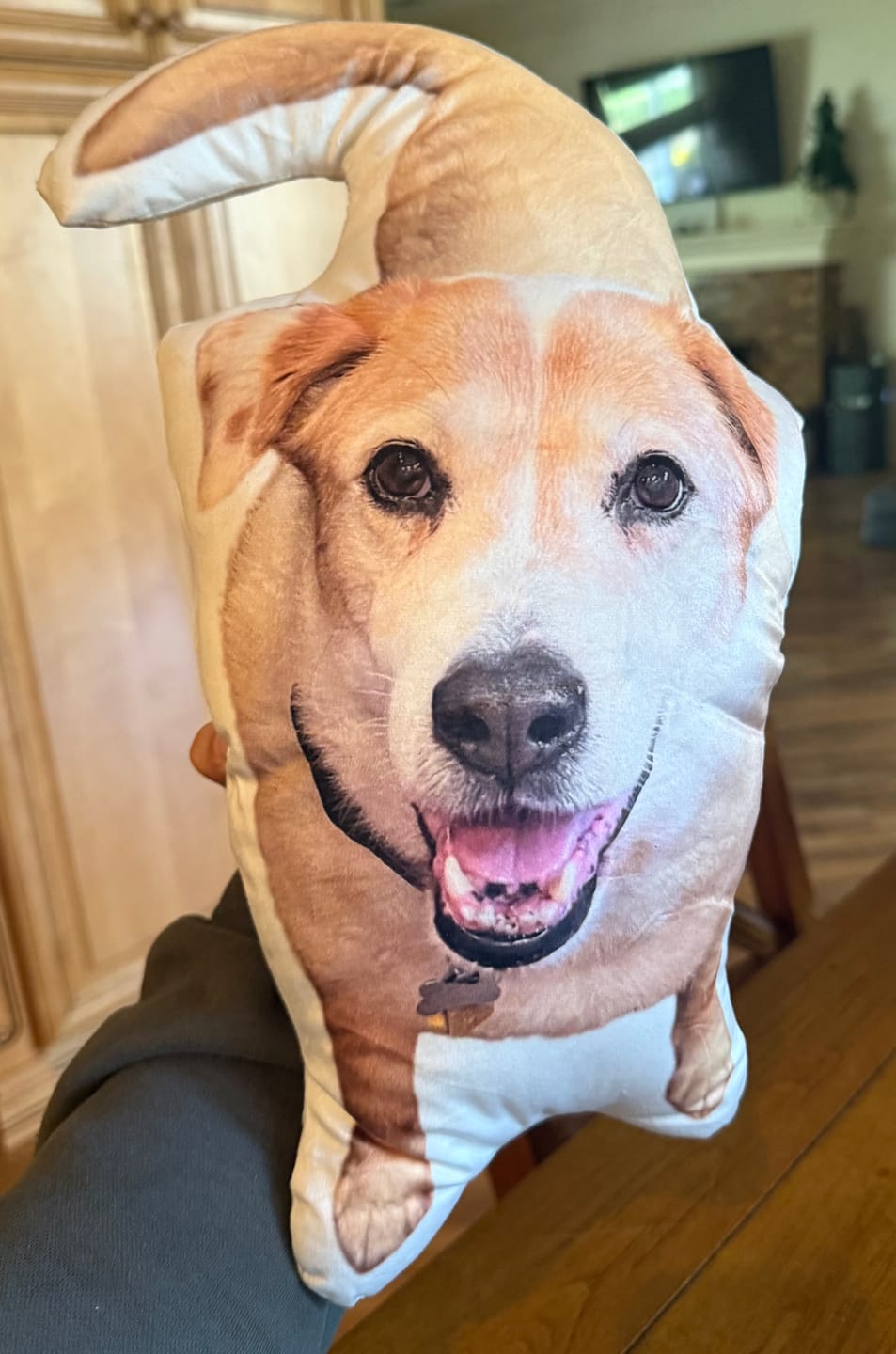 Customer photo review of Pet Pillow Looks Like Your Pet, Customize Dog Shaped Pillow with Pet Photo - ThePetPillow
