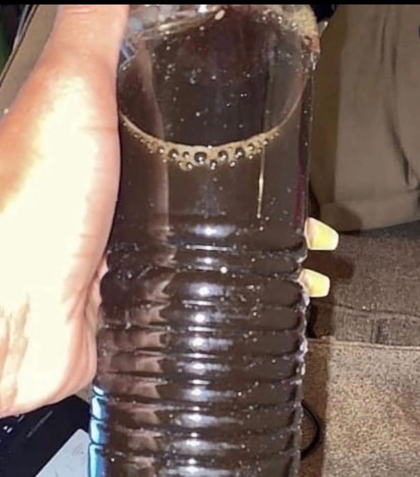 Customer photo review of Infusions Sea Moss Gel - Immunity Boost Blend | Ginger Turmeric & Honey