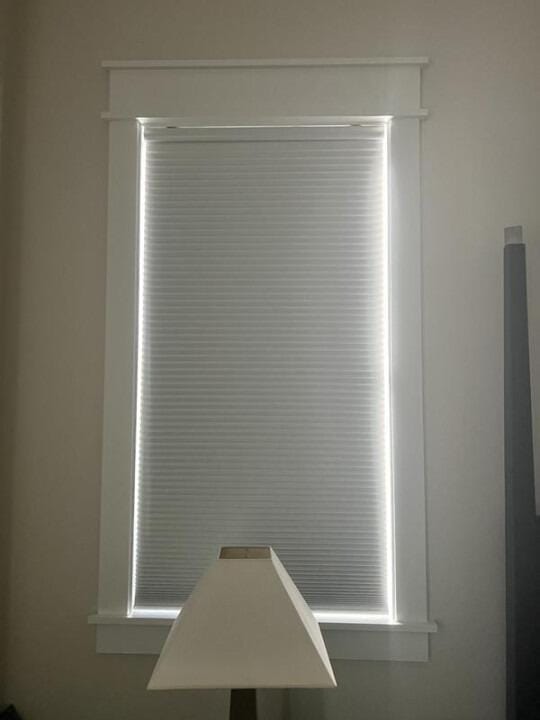 Customer photo review of Motorized Blackout Cellular Shades Hex