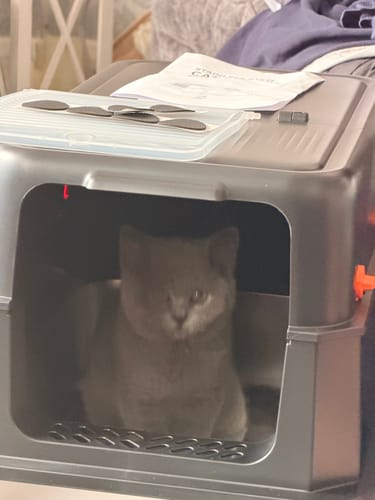 Customer photo review of 1 Month Supply – 1 Cat