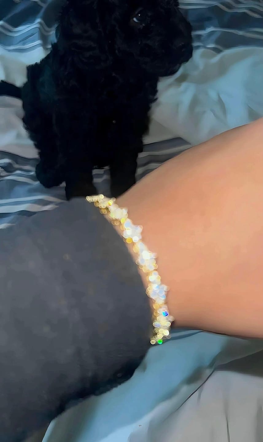 Customer photo review of Honeycomb Bracelets