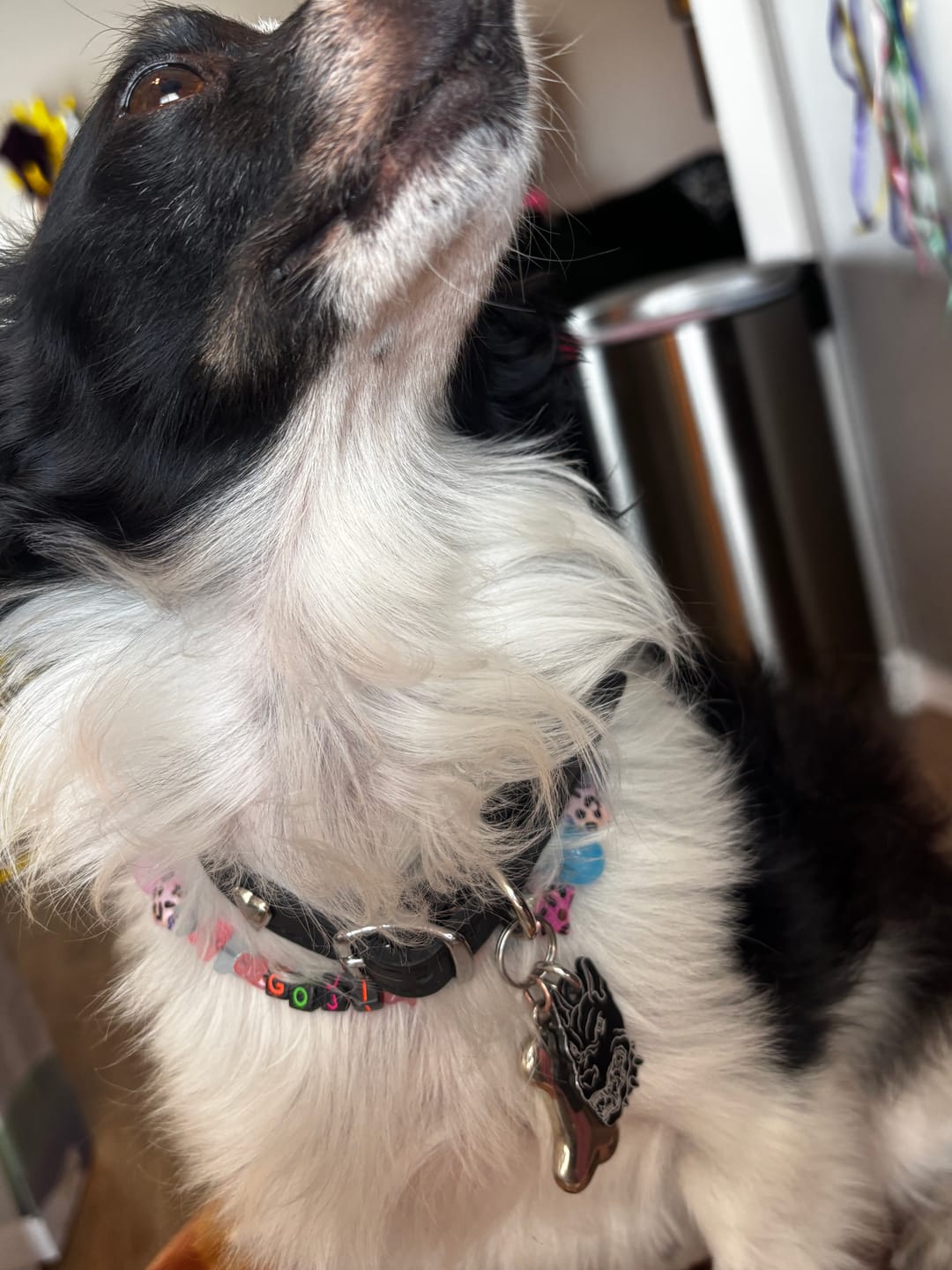 Customer photo review of PET TAG