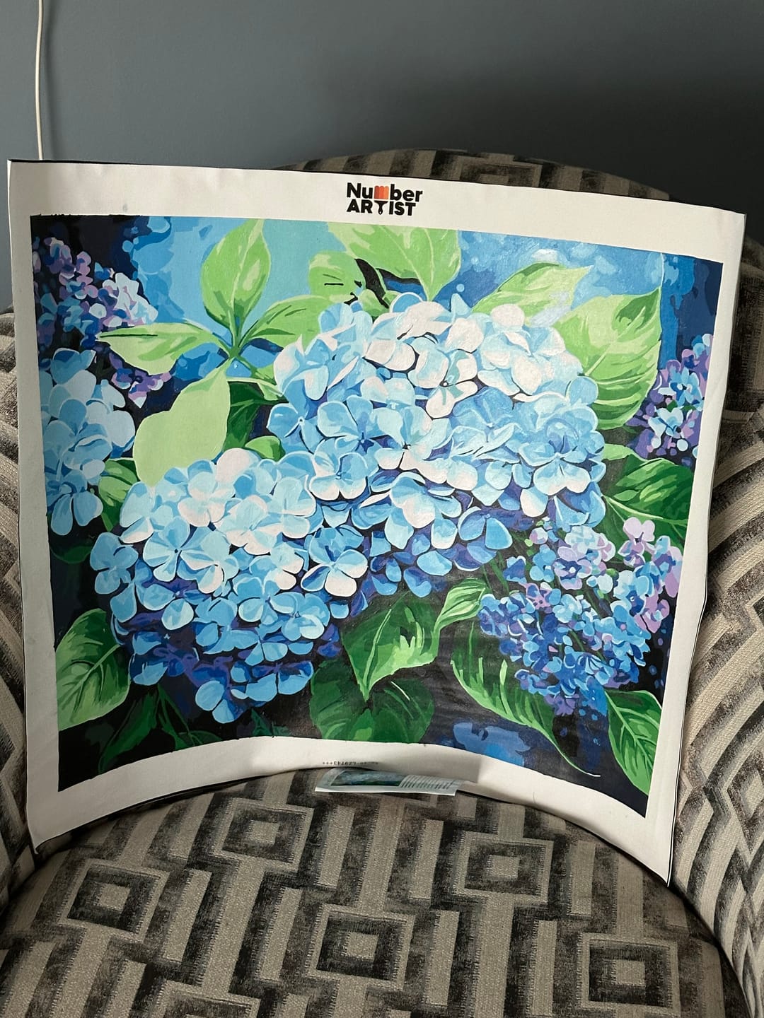 Customer photo review of Blue Hydrangea