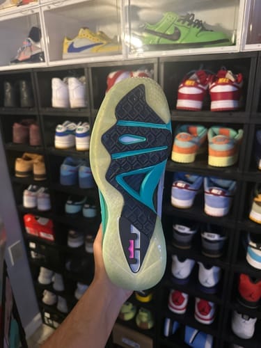Customer photo review of The Evolution Bundle