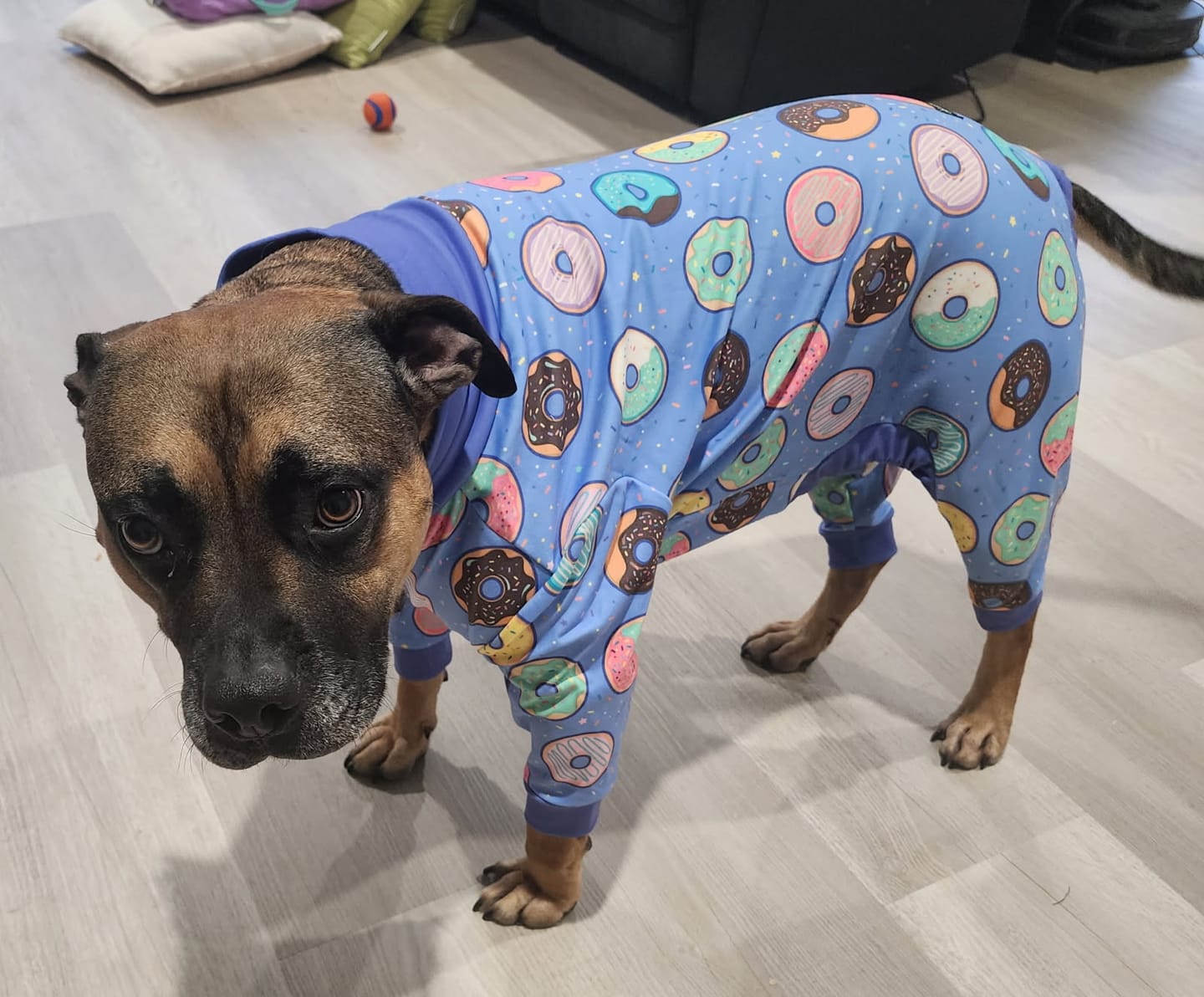 Customer photo review of Dog Pajama Prints