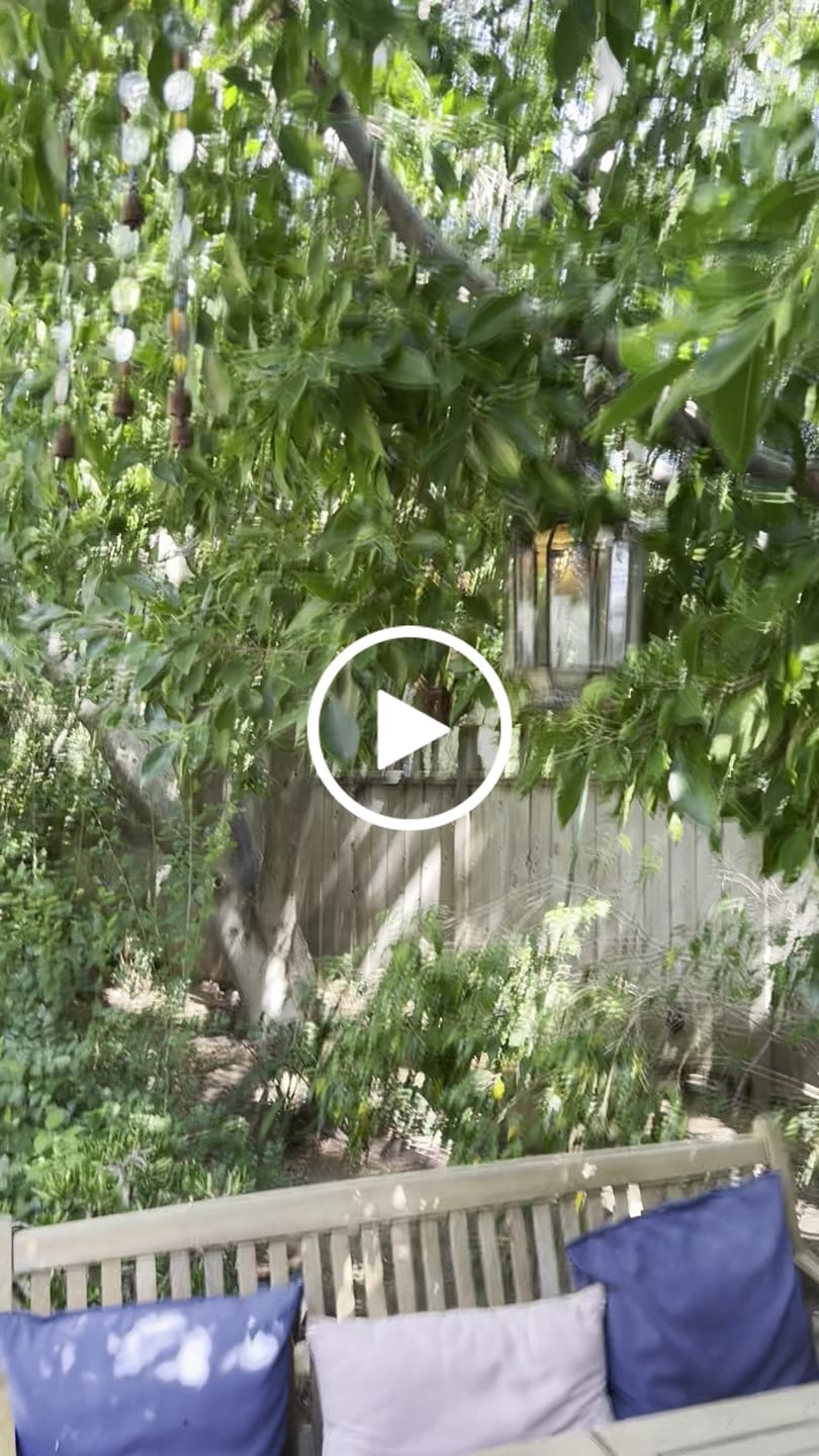 Customer video review of 25FT Black Weatherproof Outdoor Pendant Light Lamp Cord Kit, E12 C7 Base