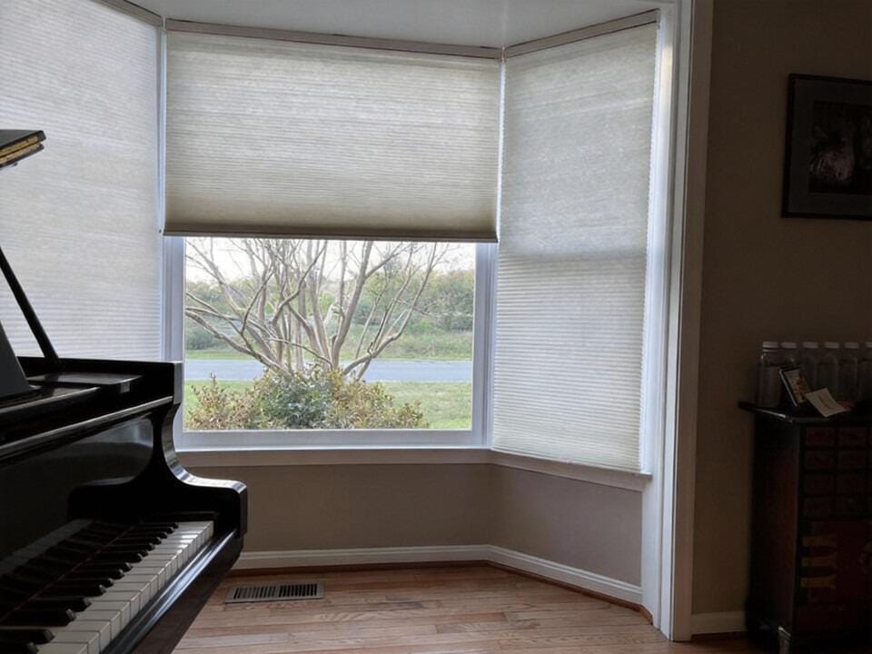 Customer photo review of Motorized Blackout Cellular Shades Hex