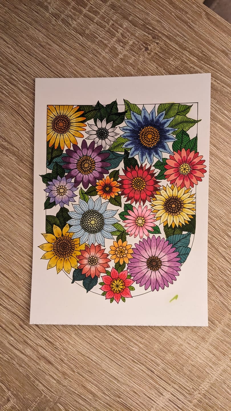 Customer photo review of Ohuhu Honolulu 168 Colors Dual Tips Alcohol Art Markers