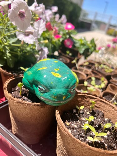 Customer photo review of 5x3.5x1.75" Tree Frog Silicone Mold