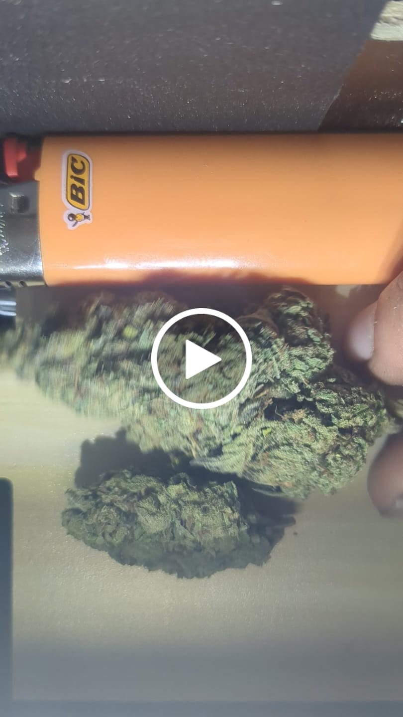 Customer video review of Zkittles x Mochi - Bulk - Hybrid
