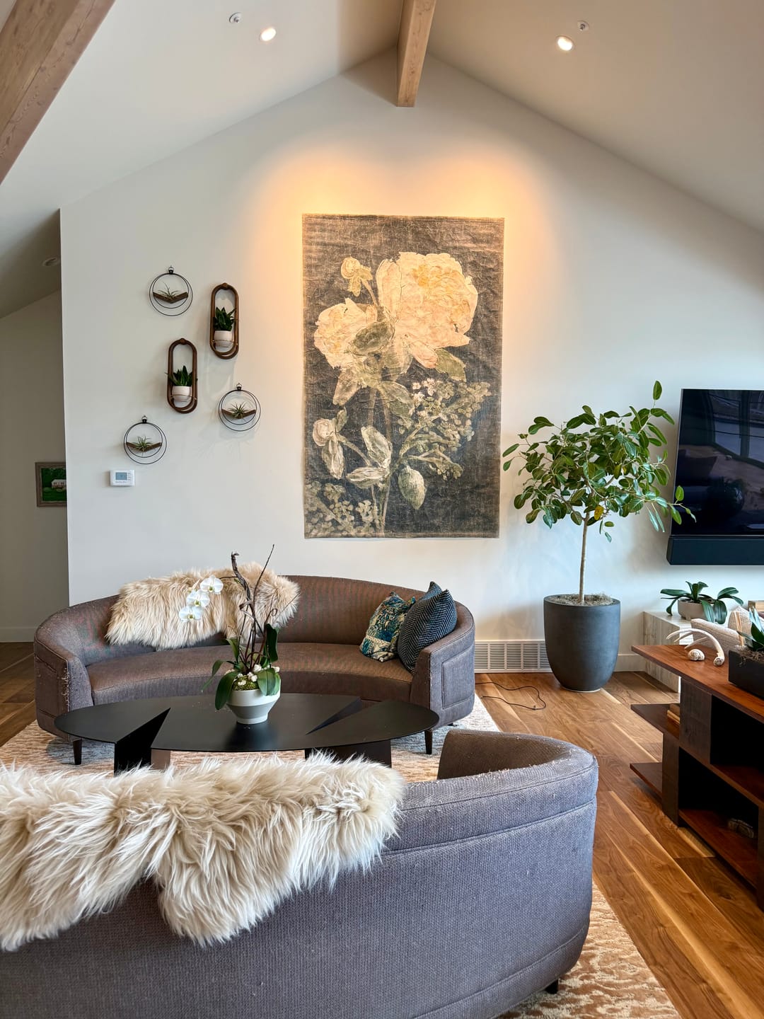 Customer photo review of Frame Wall Planter + Pot Duo