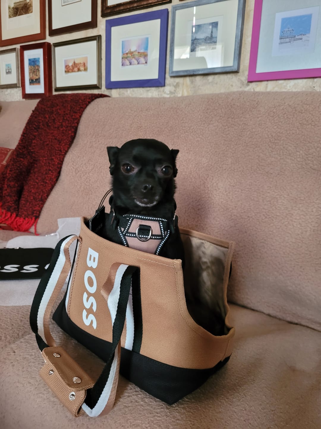 Customer photo review of BOSS Dog Canvas Tote Bag