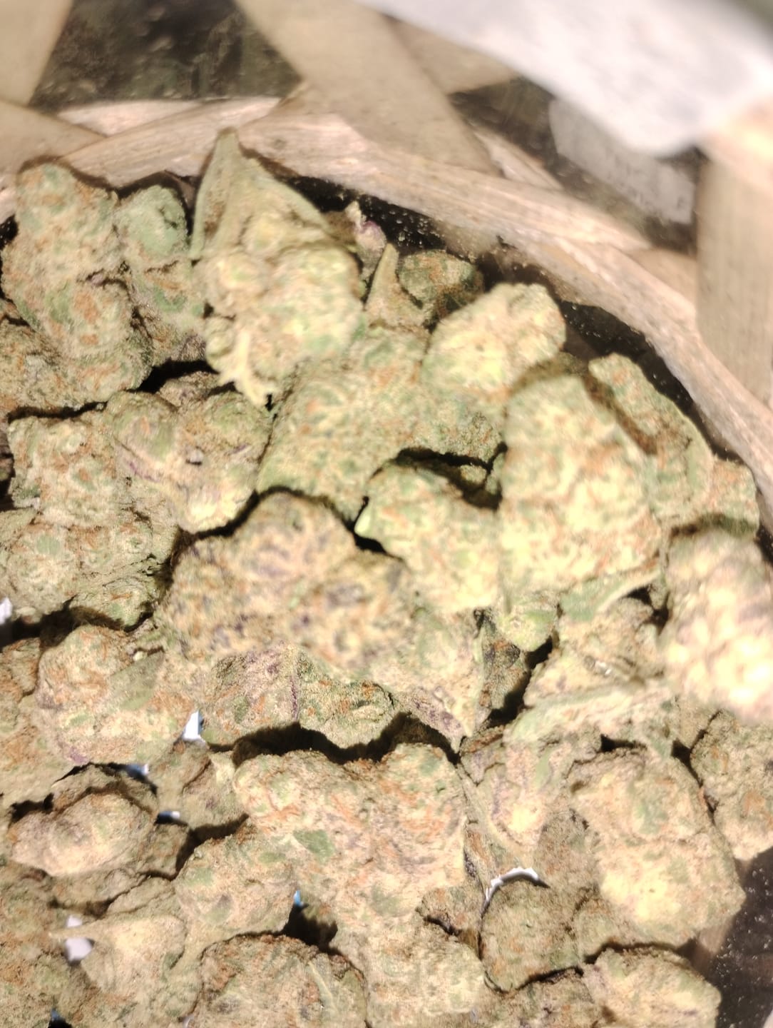 Customer photo review of Value Indoor Smalls