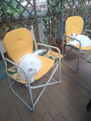 Customer photo review of Cuscino Sagomato con Schienale Set da 2 Pezzi Stondato con Laccetti 38x38x42cm