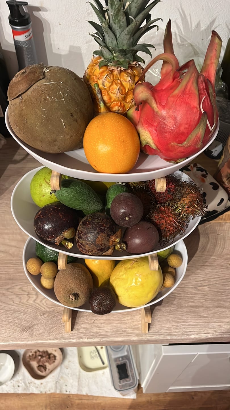 Customer photo review of Tropen-Weltreise Exotenbox