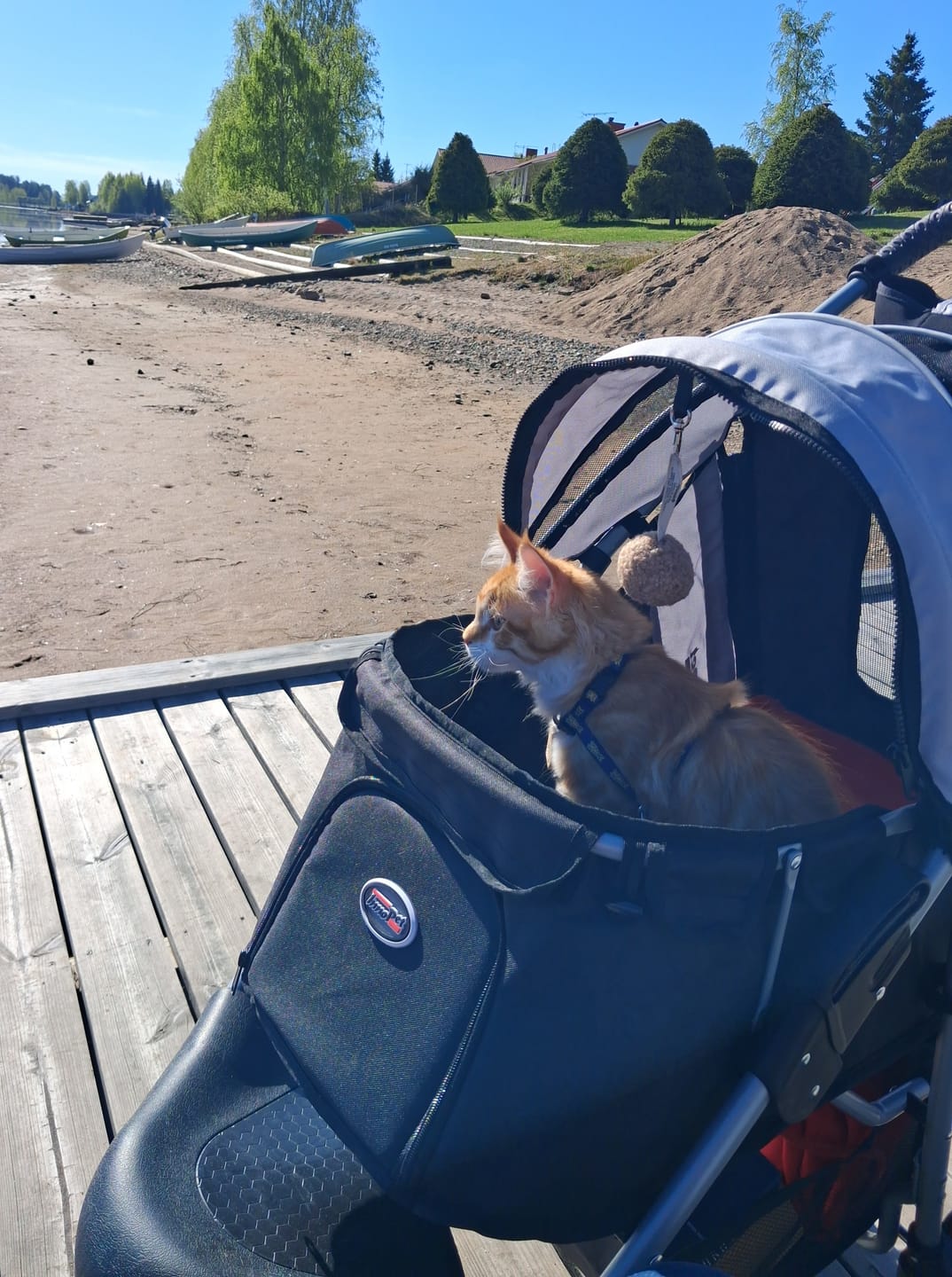 Customer photo review of Comfort EFA ECO lemmikkirattaat