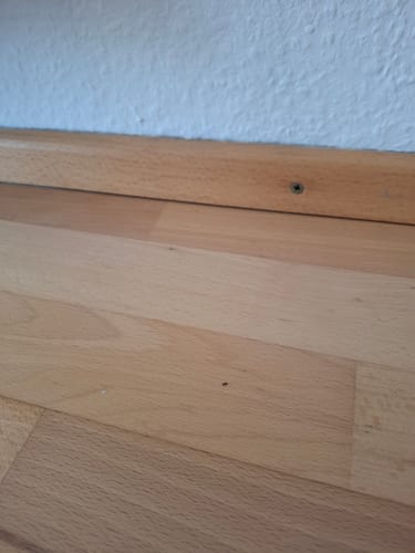 Customer photo review of Power Ameisen-Spray