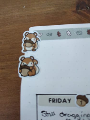 Reviewer using two Squirrelly Acorn Planner Stickers back-to-back to create a planner tab.