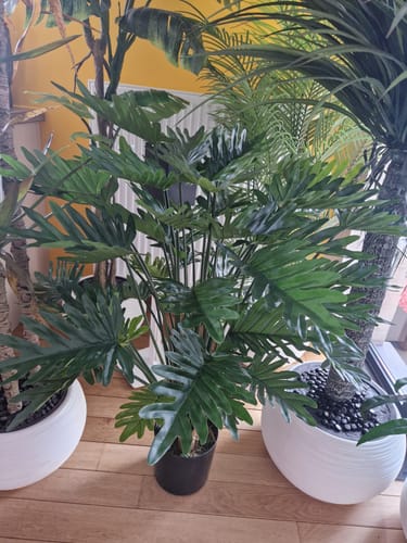 Customer photo review of Philodendron Kunstplant 100cm