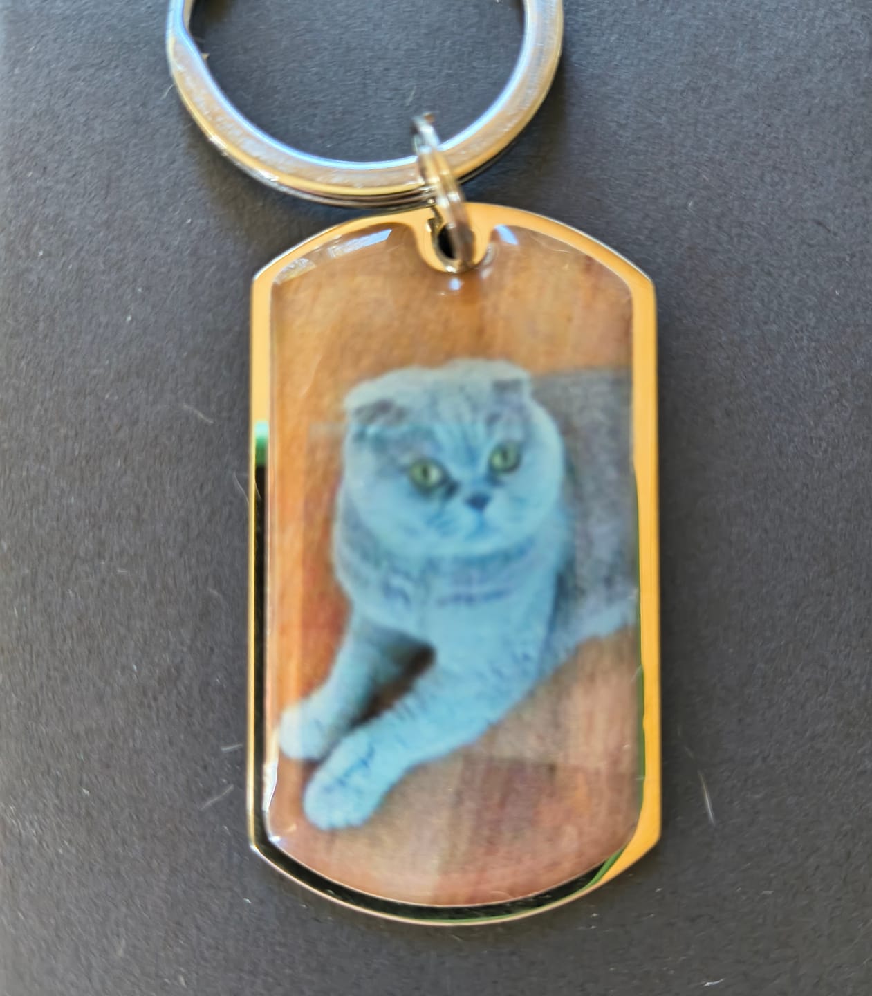 Customer photo review of Personalized Pet Keychain