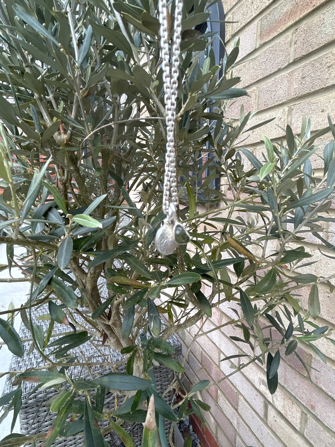 Customer photo review of Moldavite - Mini necklace pendant