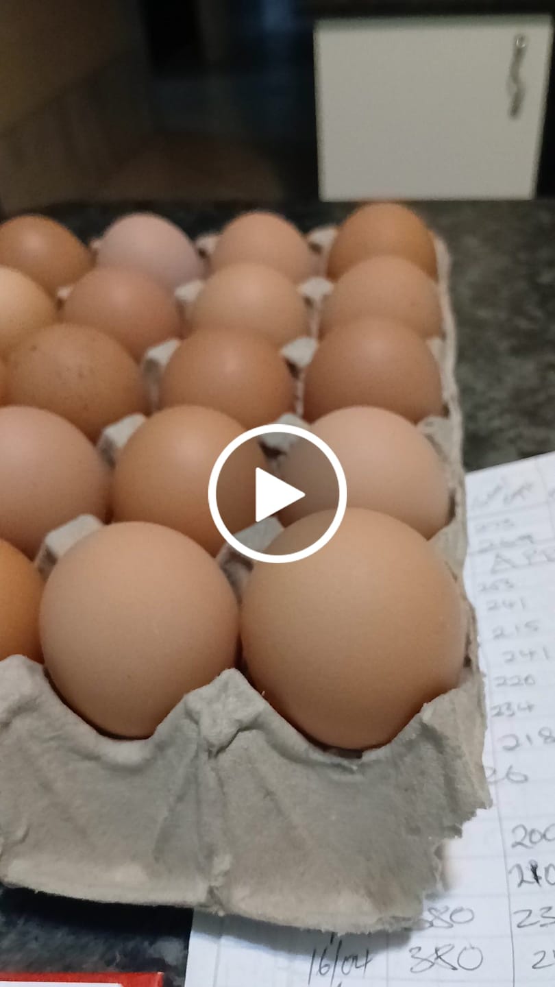 Customer video review of Avi Layer & Breeder (Fertility, Egg Quality & Skeletal Support for All Birds)