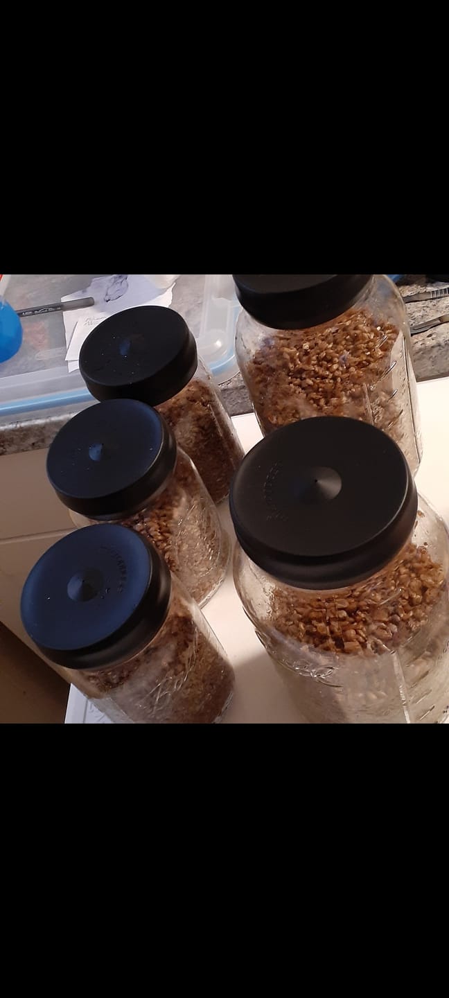 Customer photo review of Silicone Jar Lid Cover