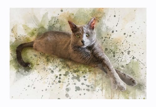 Reviewer's custom watercolor portrait of a grey cat lying down against a background of artistic watercolor splashes.