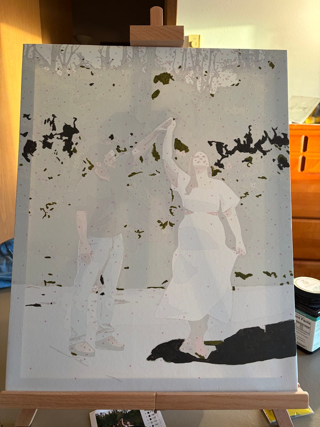 Customer photo review of Paint by Number Kit