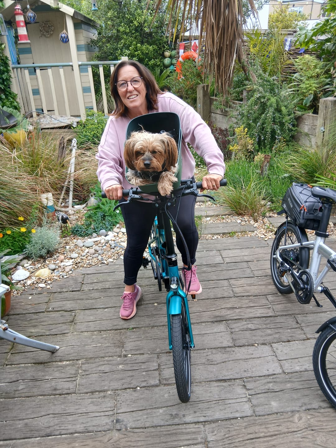 Customer photo review of Kvisp Dog Bike Carrier