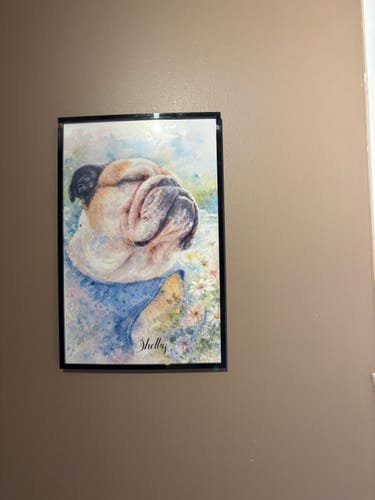 Customer photo review of Personalized Poster With Dog or Cat - Watercolor