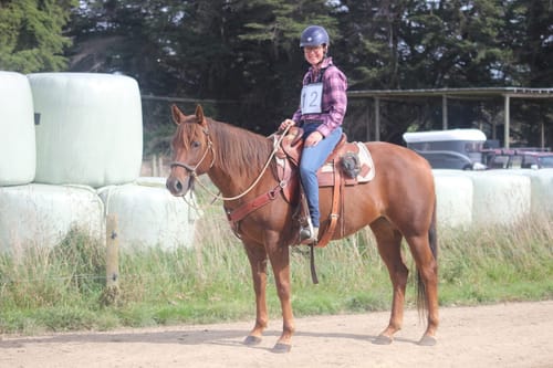 Customer photo review of Digestive EQ