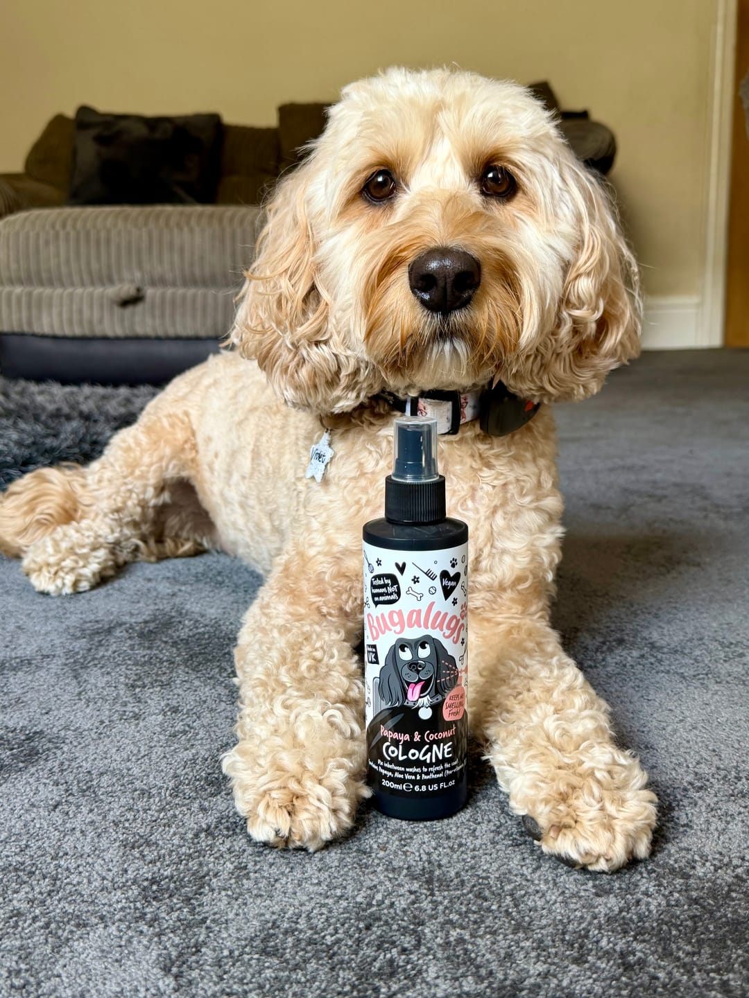Customer photo review of Papaya & Coconut Dog Cologne