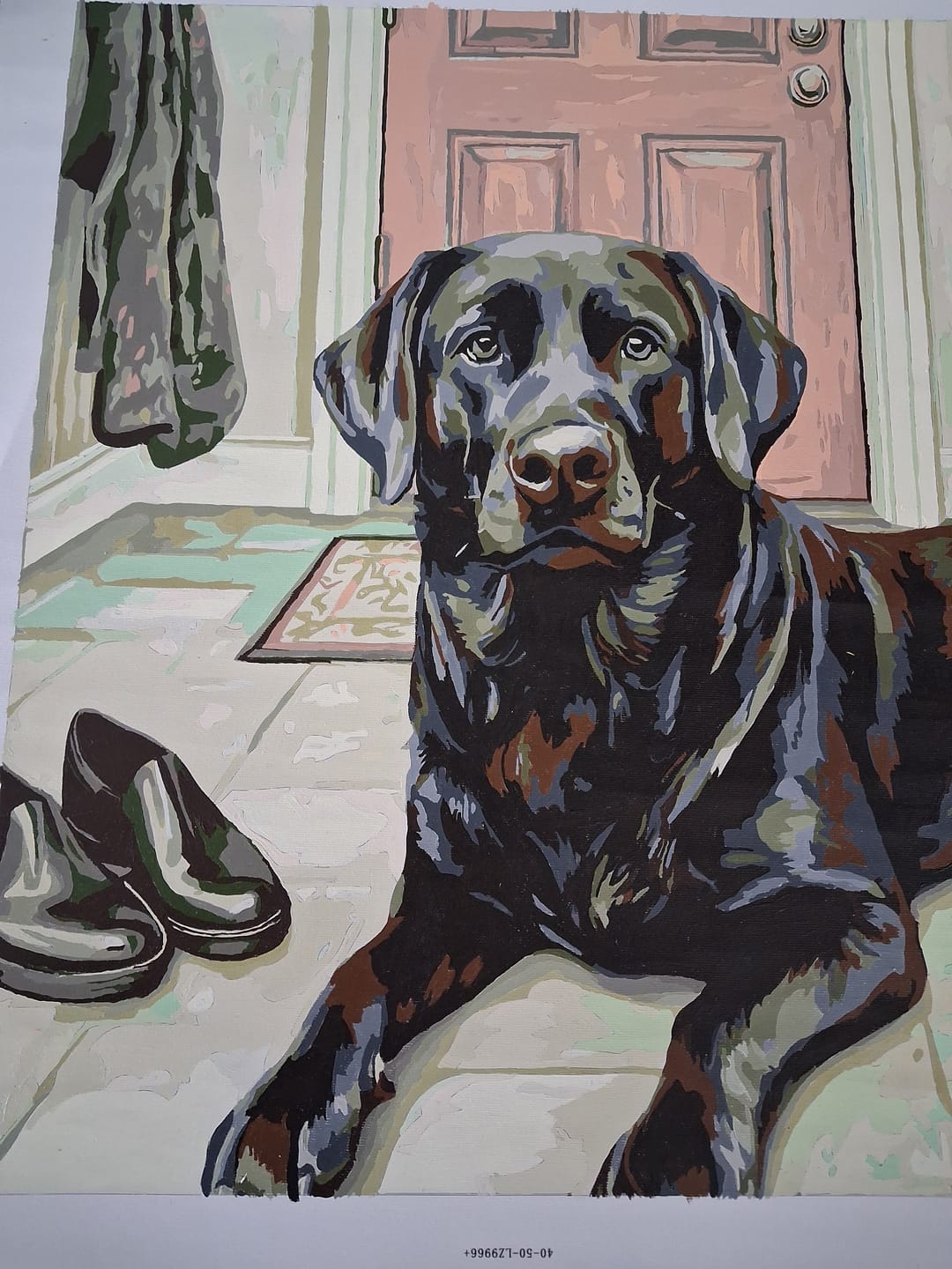 Customer photo review of Black Labrador