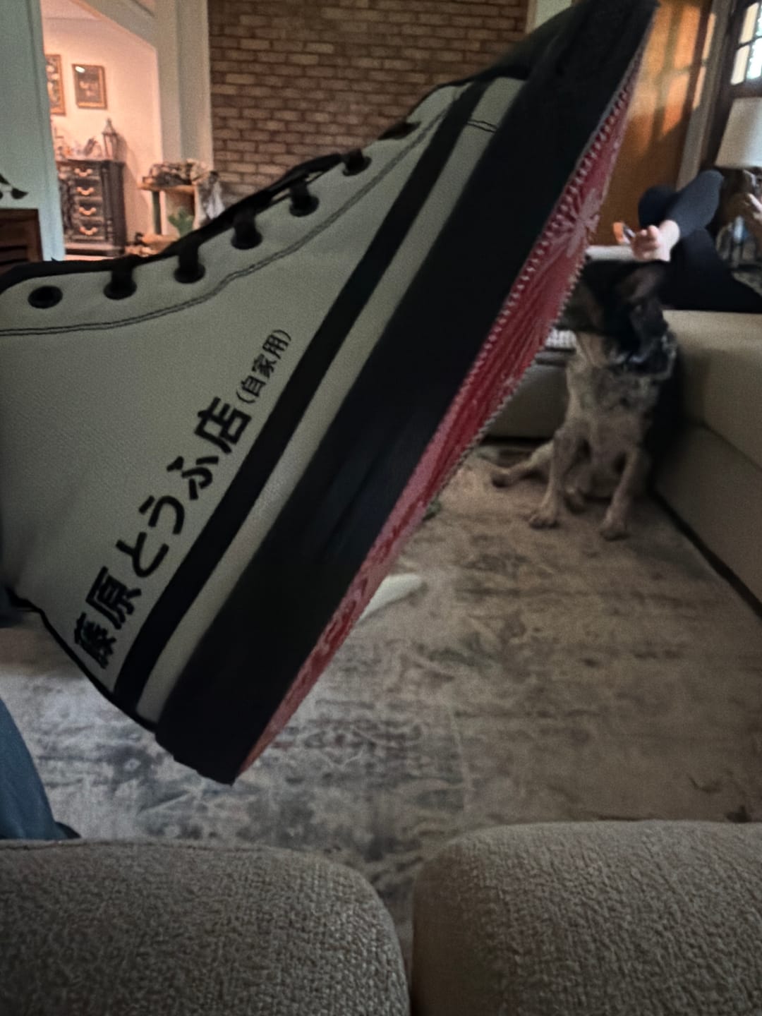 Customer photo review of HTXJPN Fuji2 High Top Sneakers