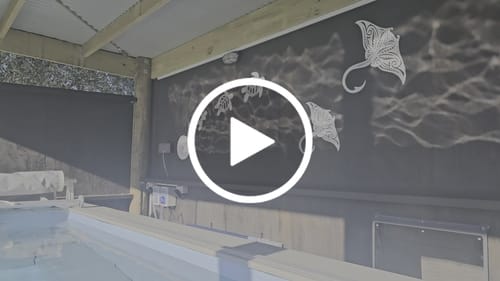 Customer video review of Sea Turtle Wall Art Set