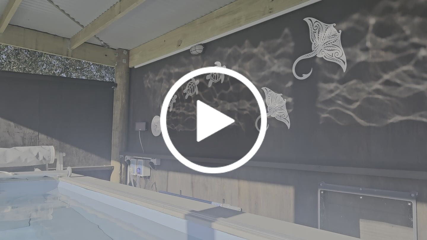 Customer video review of Sea Turtle Wall Art Set